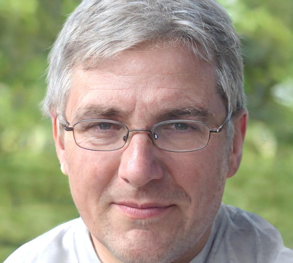 Luka Petrović, Systemanalyse